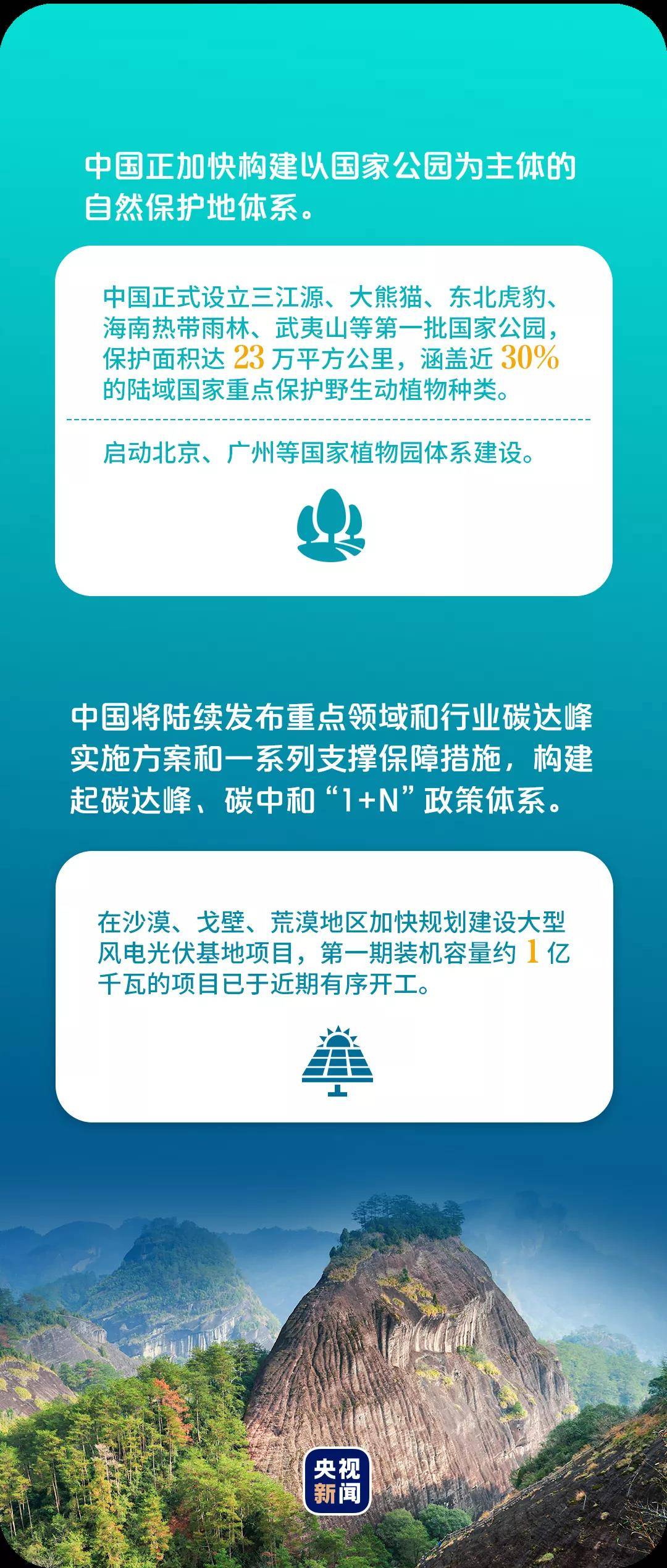 管家婆一句话，玄机图中的智慧管家婆一句话中玄机