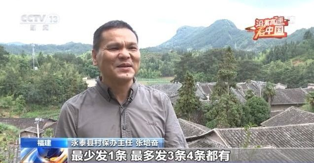 探索大乐透号码开奖走势，揭秘数字背后的奥秘大乐透开奖走势图大乐透最新开奖结果