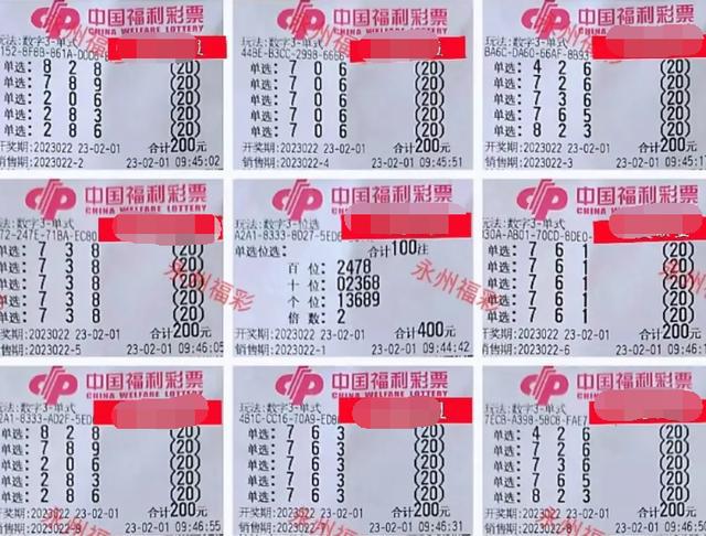 彩票3D，开奖背后的神秘与期待—揭秘其庞大的流动金库3d开奖奖金多少