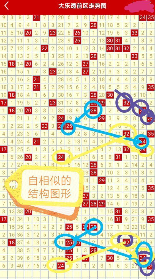 探索未来，大乐透2049连线走势图解与预测大乐透连线走势图表新浪