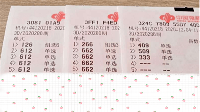 今日彩票开奖结果查询公告，揭秘幸运的瞬间