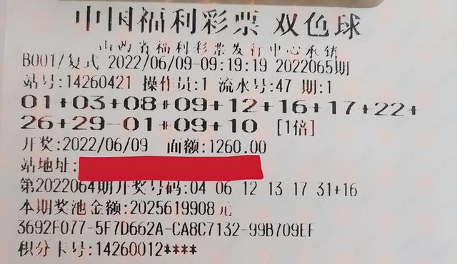 揭秘中国彩票开奖结果06，数字背后的幸运与期待福彩006期开奖结果