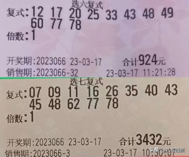 中国彩票12月4日开奖结果揭秘，梦想与机遇的碰撞12月14日彩票结果