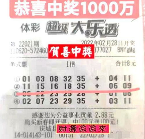 2013年双色球开奖揭秘，中国福利彩票的幸运时刻福利彩票开彩票双色球结果2021130