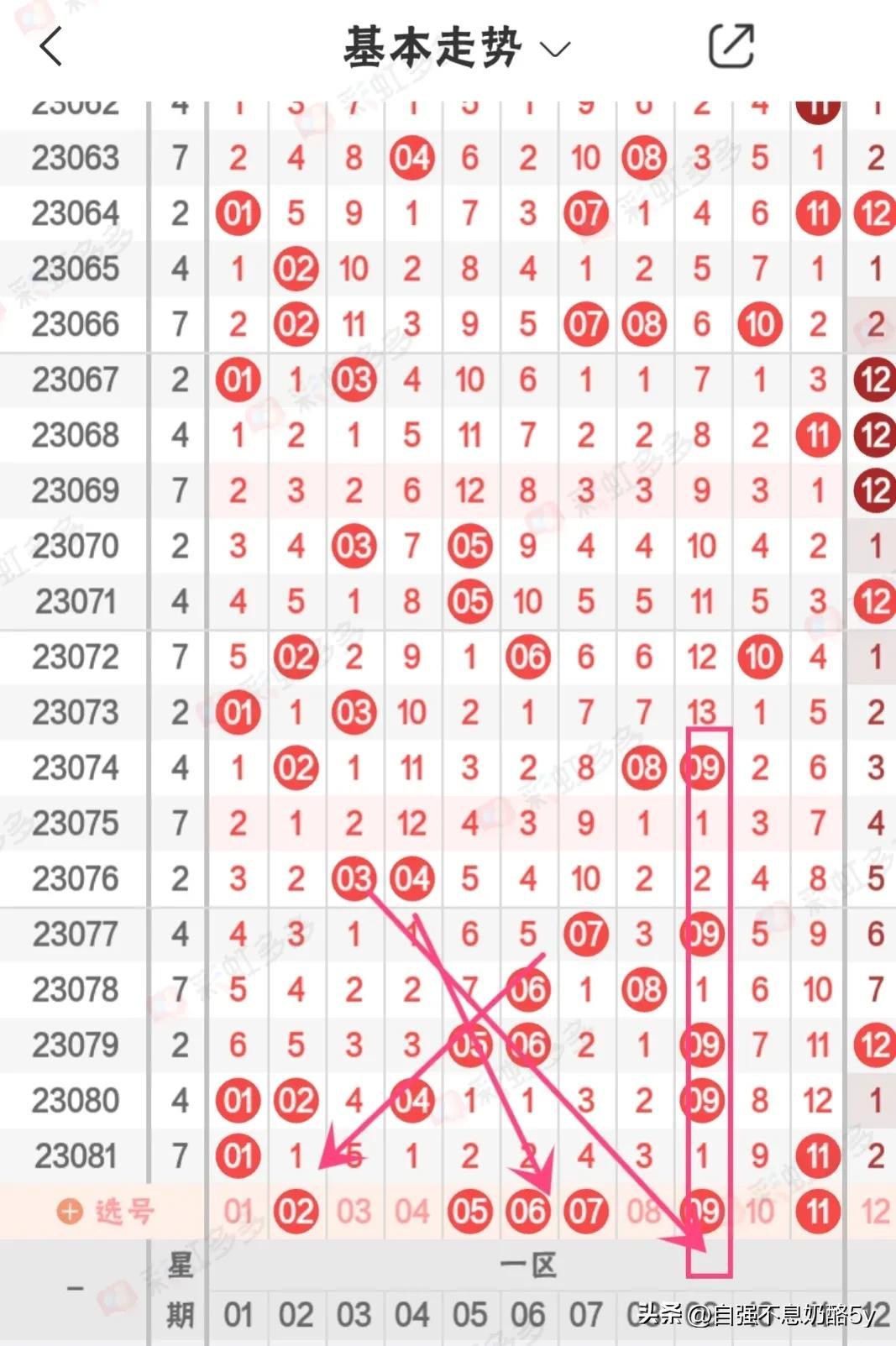 2019年双色球最新开奖号码揭秘，探索数字背后的幸运与希望双色球最新的开奖号码走势图
