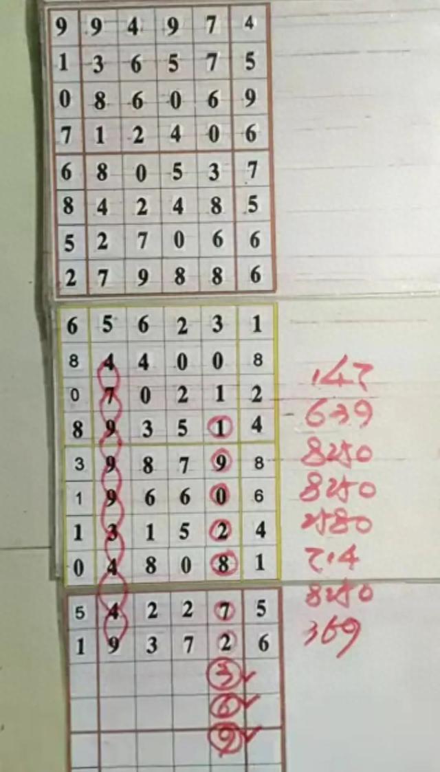 排五开奖结果，如何快速查询并解析七位神秘数字排列5开奖结果20227