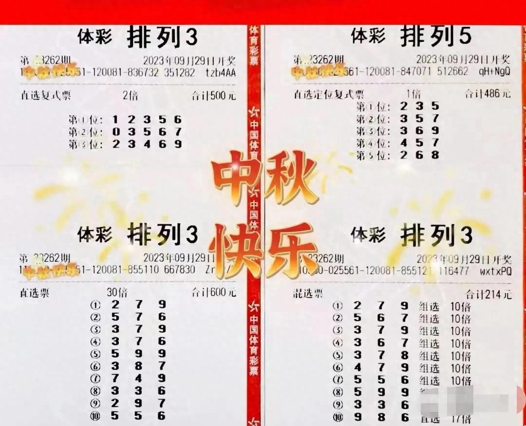 排五开奖结果查询，揭秘数字背后的幸运与期待排五开奖结果查询 开奖号码是多少