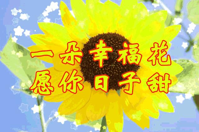 探索快乐八，揭秘开奖结果走势图与新浪网平台的深度融合快乐八开奖结果走势图新浪网最新