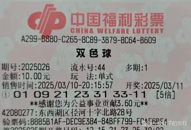 福利彩票双色球20249，梦想与希望的碰撞福利彩票双色球2022年全年结果查询表