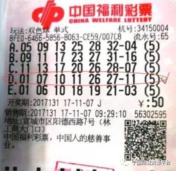 10月23日中国福利彩票中奖号码查询，揭秘幸运之门的秘密2021年10月23日福利彩票中奖号码