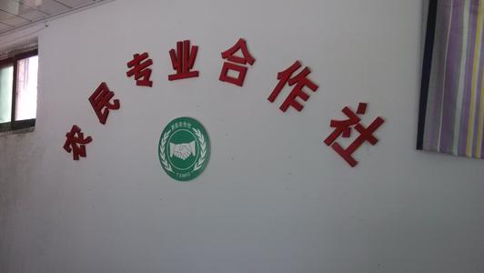 探索2019年第34期至第56期的福彩双色球与历史开奖号码的奥秘221期3d开奖结果