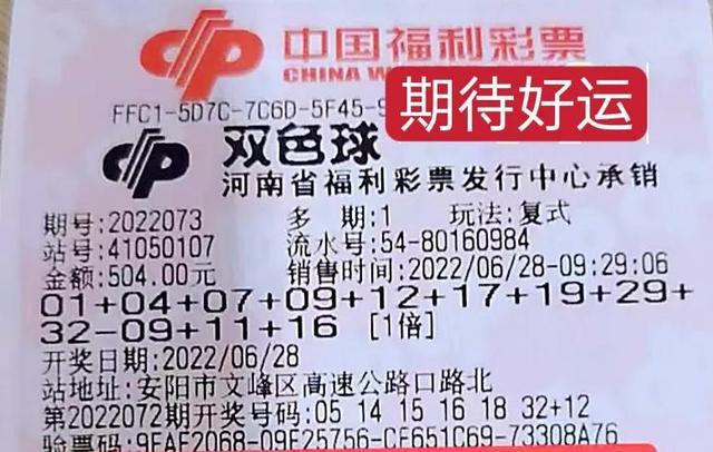 揭秘双色球第124期开奖号码公告，幸运与概率的精彩碰撞双色球开奖结果 查询124期