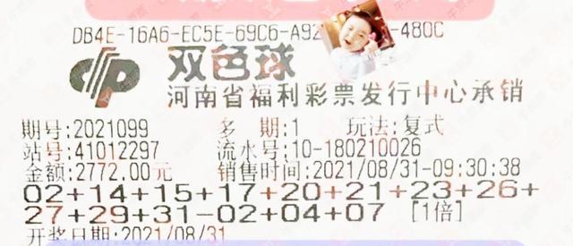 2019年双色球第4期开奖号码公告，幸运的数字与梦想成真的瞬间双色球开奖号码公告2019年