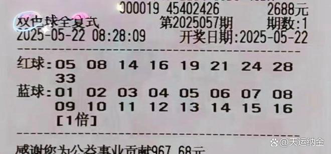 探秘双色球，4号开奖结果背后的数字奥秘双色球开奖号码开奖结果查询4号码是多少