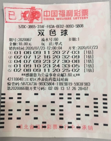 203期