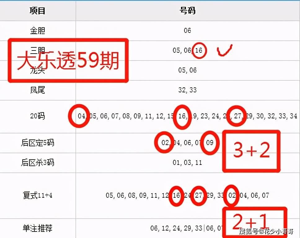 解析大乐透走势图，视频技巧与深度分析大乐透走势图怎样分析视频技巧图片