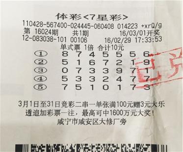 揭秘体彩七星彩票中奖号码的奥秘，概率、策略与幸运体彩七星彩中奖号码是什么号