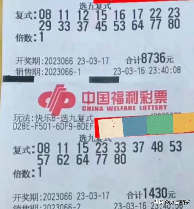 体育彩票七星彩2056期，梦想与机遇的碰撞体育彩票七星彩22056期中奖结果