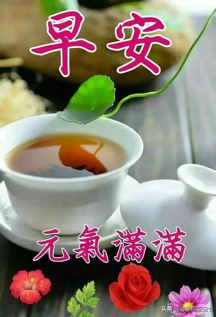 体育彩票七星彩，历史号码的探索与回顾体彩七星彩历史记录