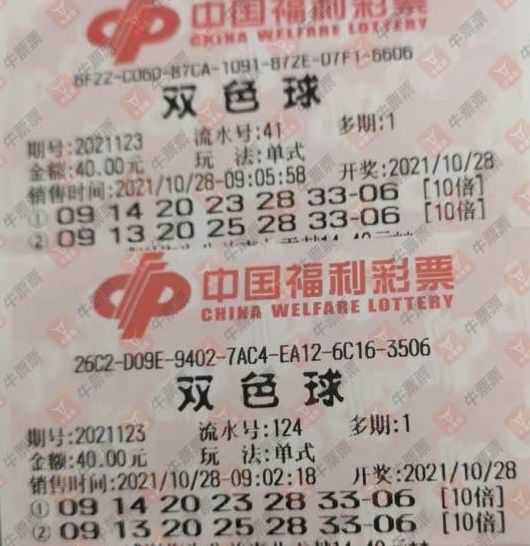 2019年双色球第8期开奖结果揭晓，幸运的数字与梦想成真双色球202198期开奖号码