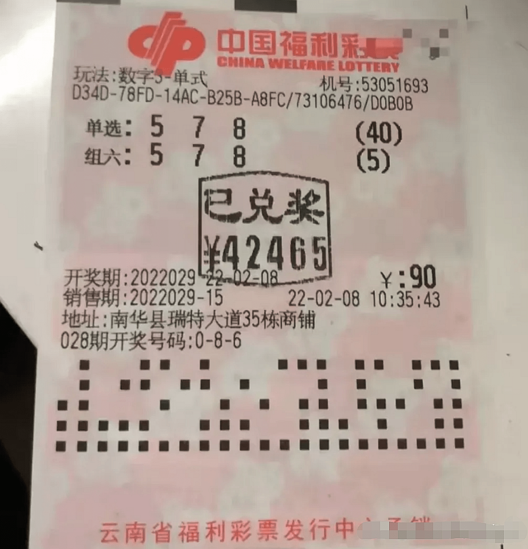 最新福利彩票中奖号,梦想与希望的交汇点最新的福利彩票中奖号码